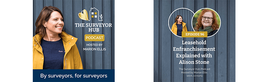 Show artwork for The Surveyor Hub Podcast by Marion Ellis